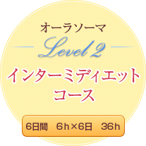 ●オーラソーマ　レベル2　インターミディエットコース●　　【6 日間　6ｈ×6 日　36ｈ】